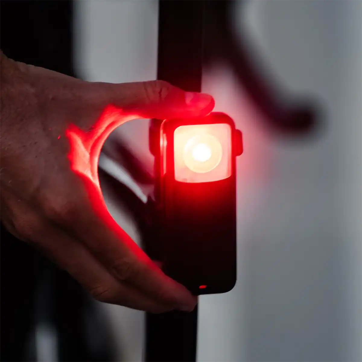 NT201 Tail Light