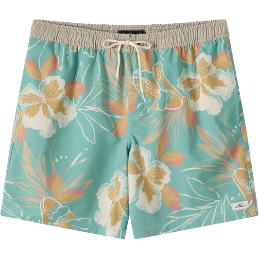 Men's Hermosa Elastic Waist Lined Trunk 17"