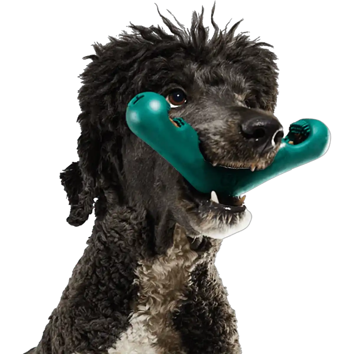 The Bite N' Brush