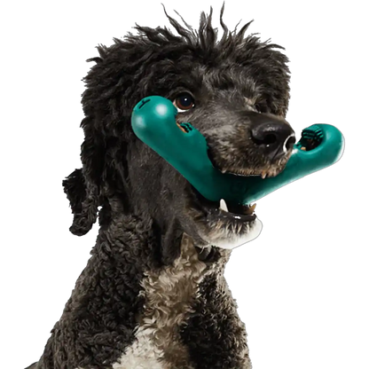 The Bite N' Brush