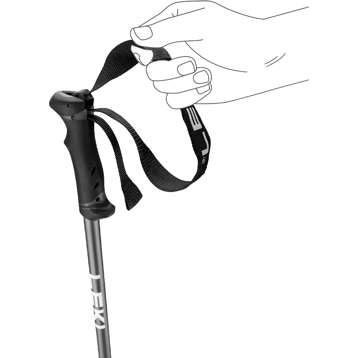 QNTM Poles