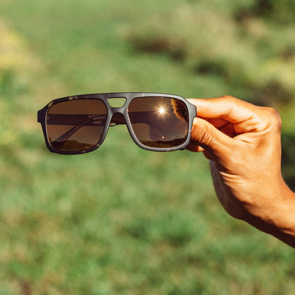Paladino Tortoise Bronze