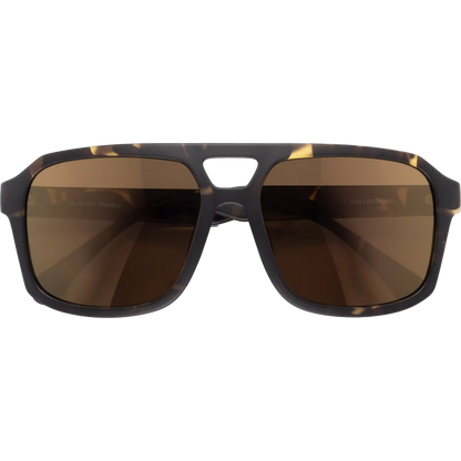Paladino Tortoise Bronze