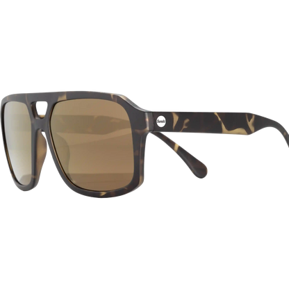 Paladino Tortoise Bronze