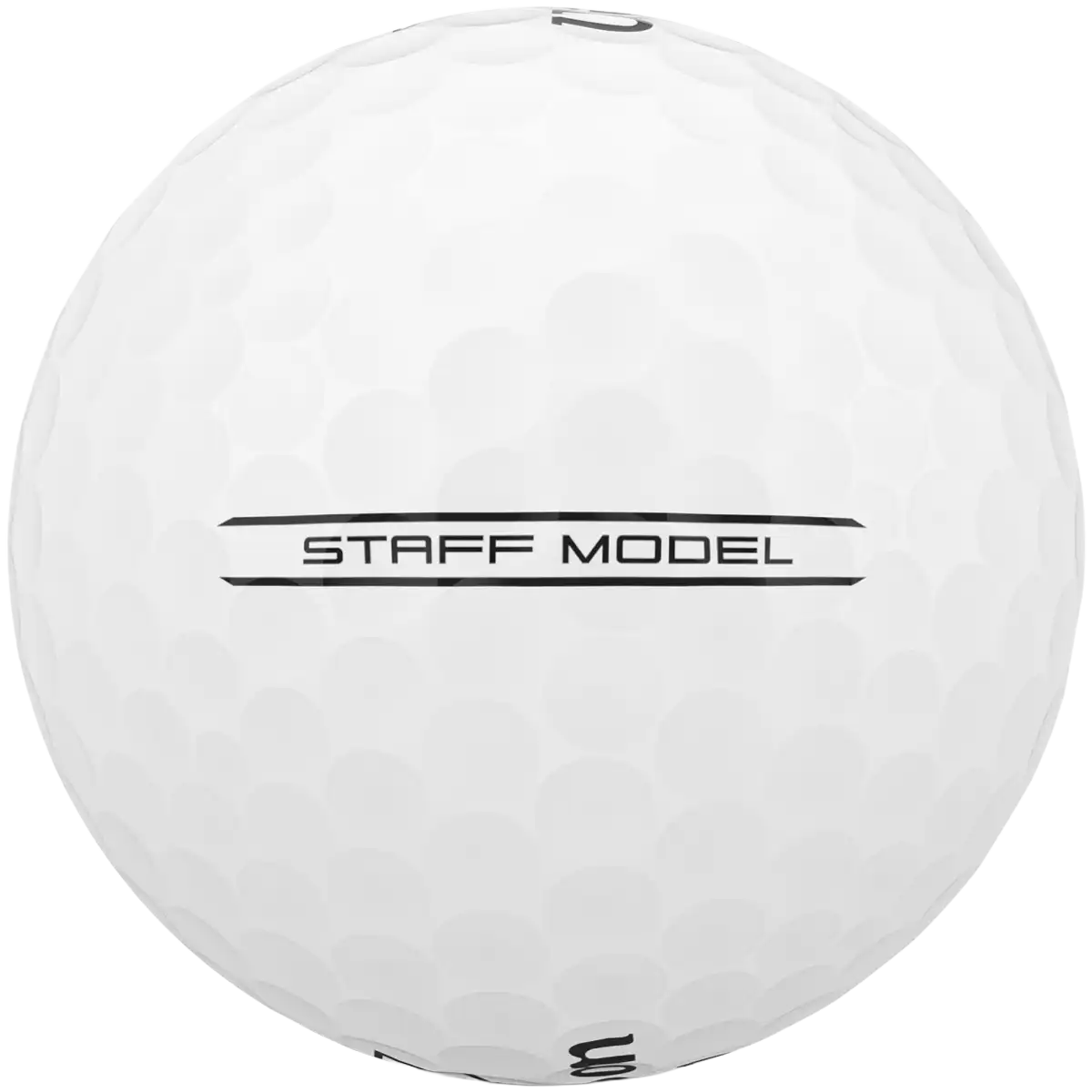 Staff Model