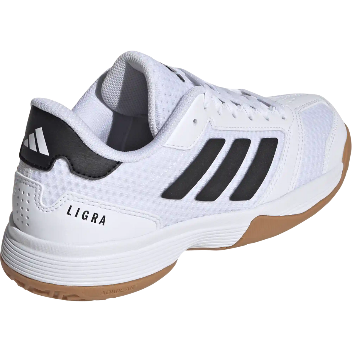 Youth Ligra 8