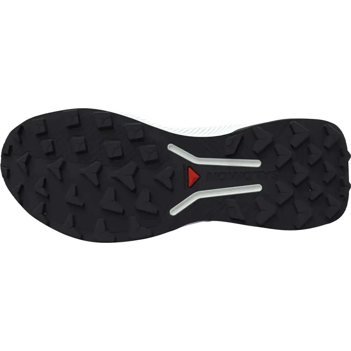 Women's Genesis 2