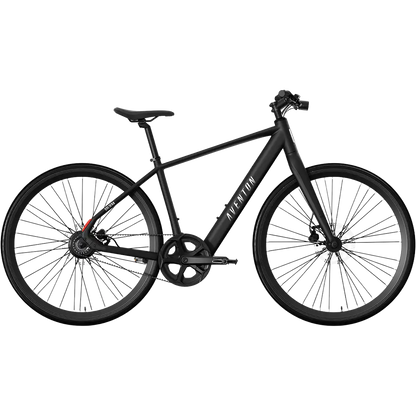 Soltera 3 ADV