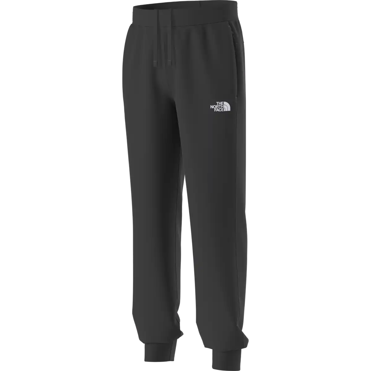 Youth Teen TNF Fleece Performance Jogger