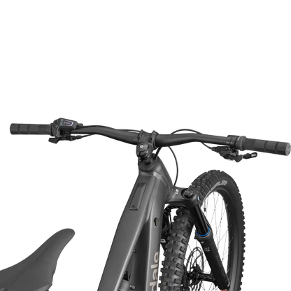 Moterra Neo 4