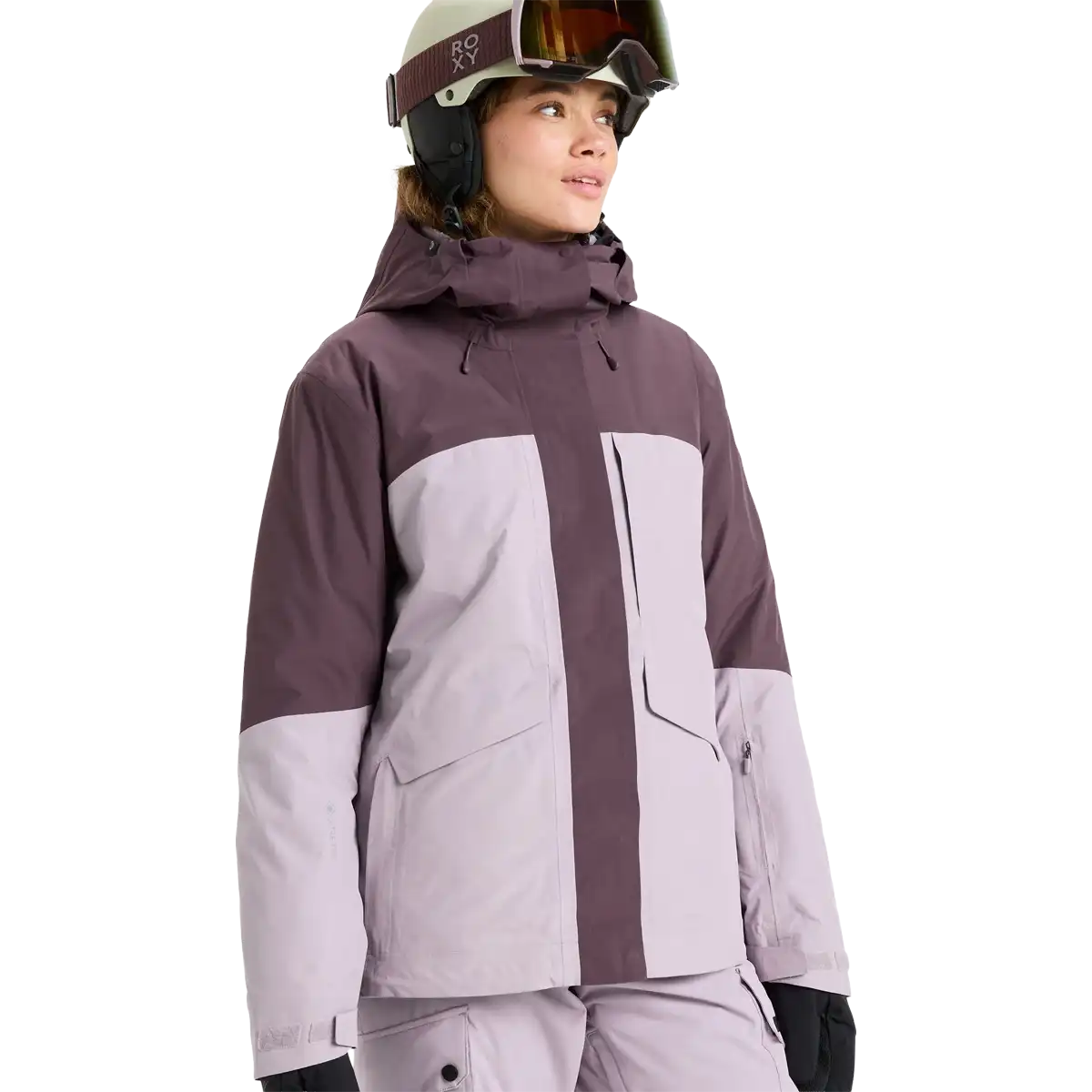 Women's Gore-Tex Stormday Jacket