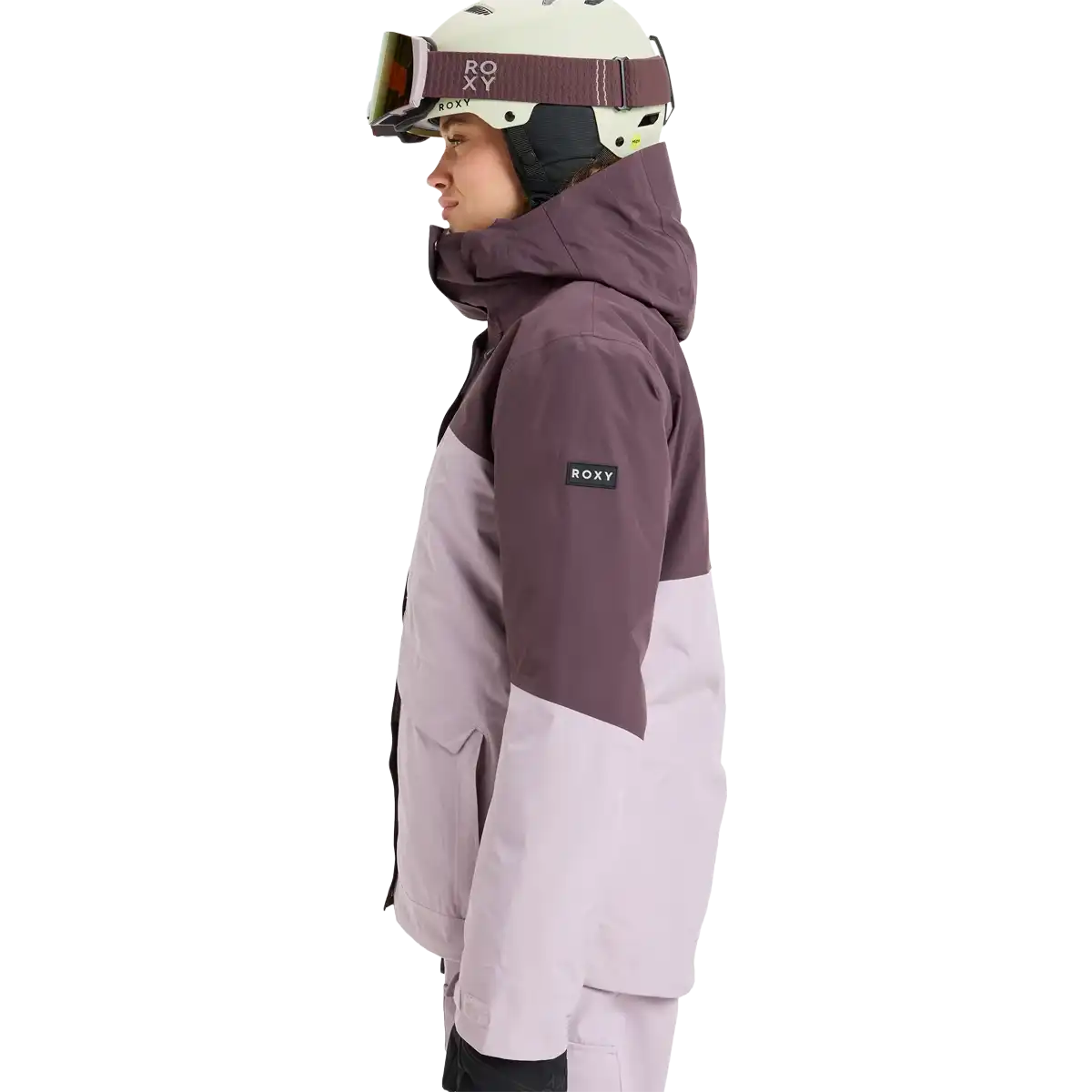 Women's Gore-Tex Stormday Jacket