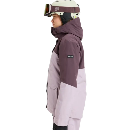 Women's Gore-Tex Stormday Jacket