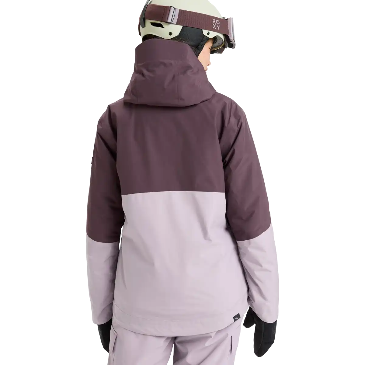 Women's Gore-Tex Stormday Jacket