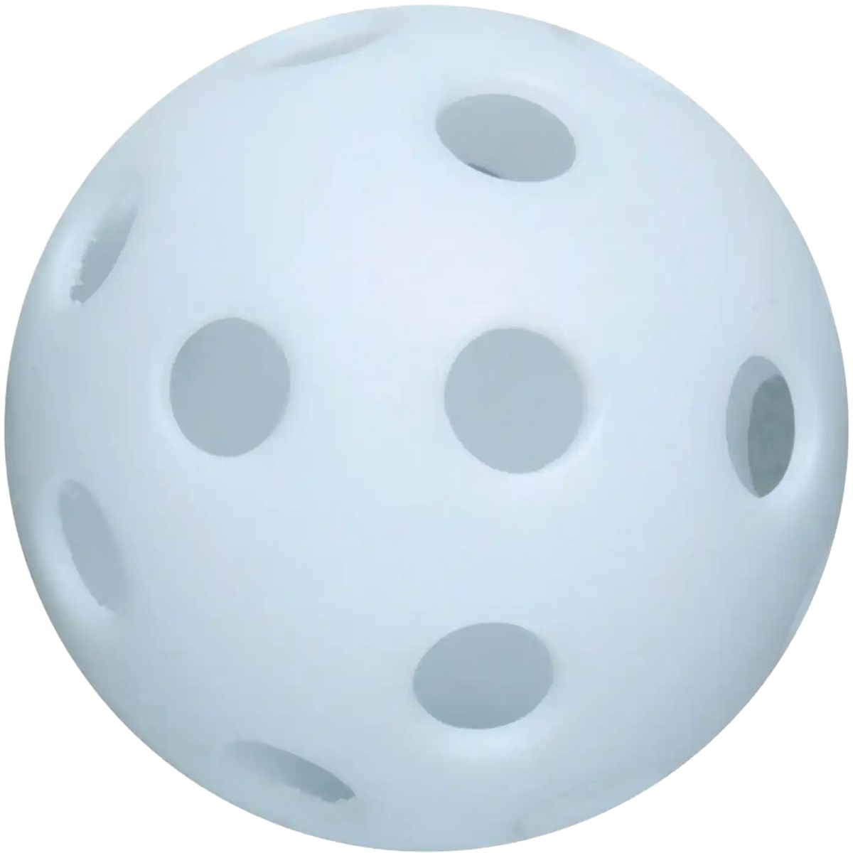 Poly Molded Training Ball