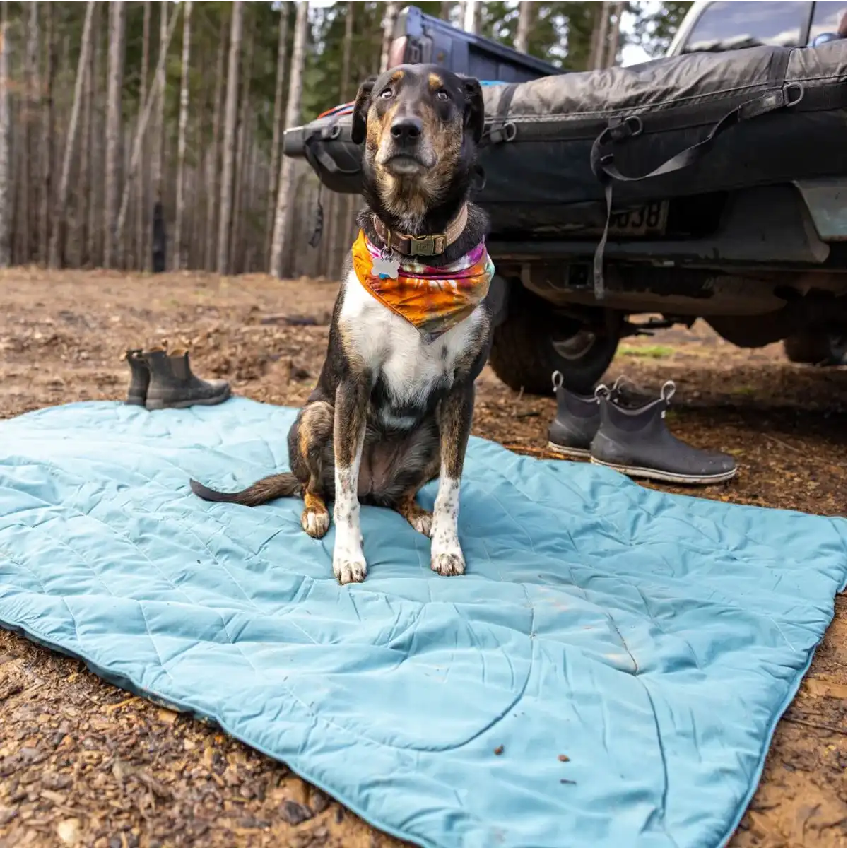Overland Mat