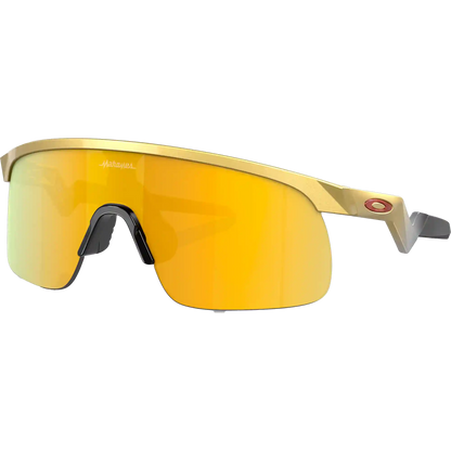 Youth Resistor - Gold/Prizm 24K