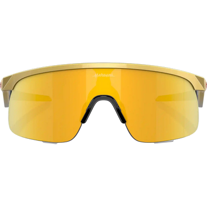 Youth Resistor - Gold/Prizm 24K