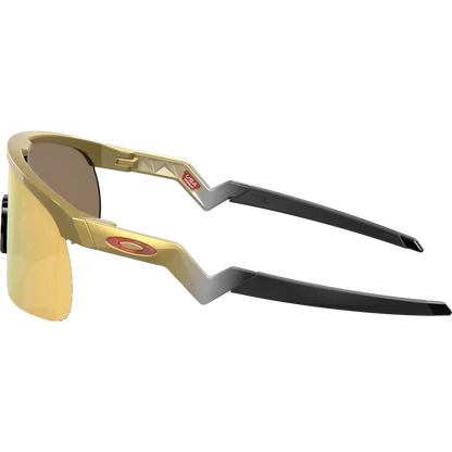 Youth Resistor - Gold/Prizm 24K