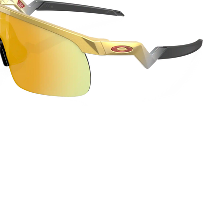 Youth Resistor - Gold/Prizm 24K