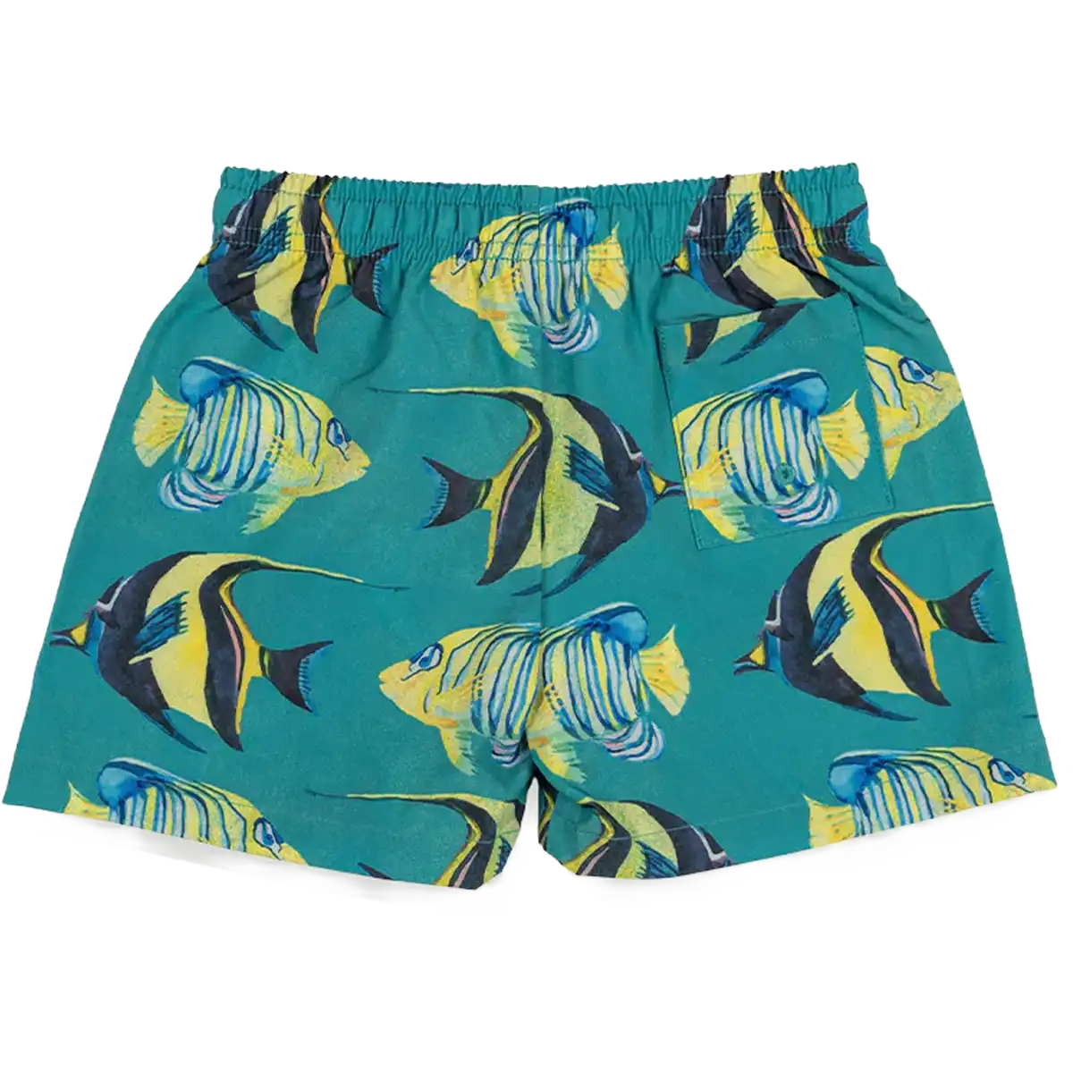 Youth Aquarium Swim Boardshort