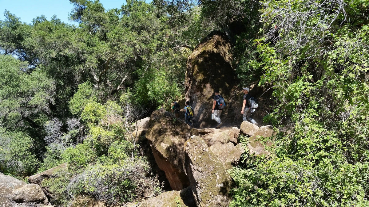 Pinnacles Climbing Weekend