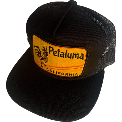 Petaluma Trucker