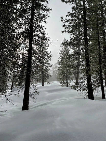 Snowshoeing Yosemite: Dewey Point /Crocker Point Weekend