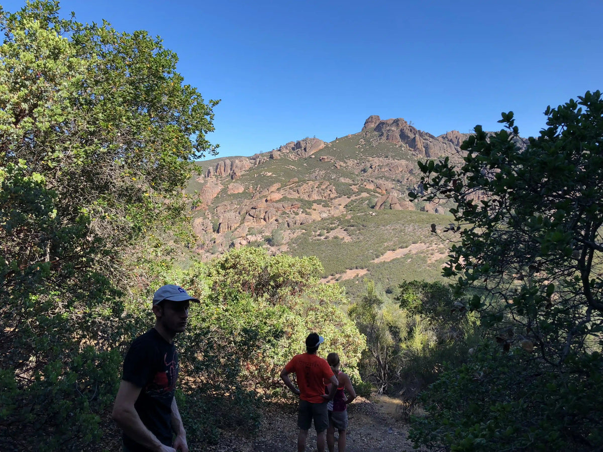 Pinnacles Climbing Weekend