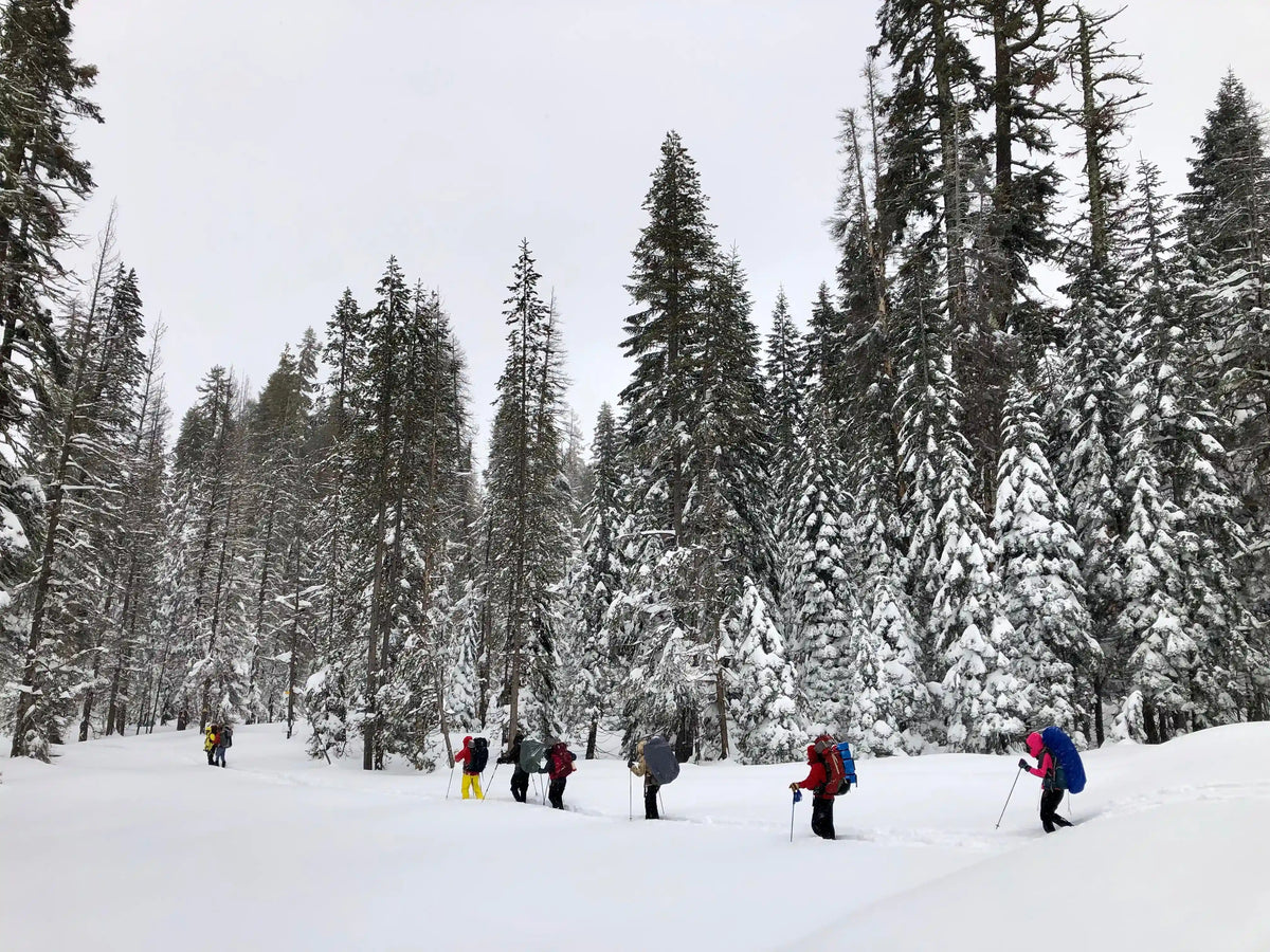 Snowshoeing Yosemite: Dewey Point /Crocker Point Weekend