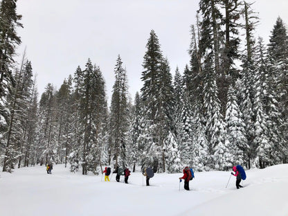 Snowshoeing Yosemite: Dewey Point /Crocker Point Weekend