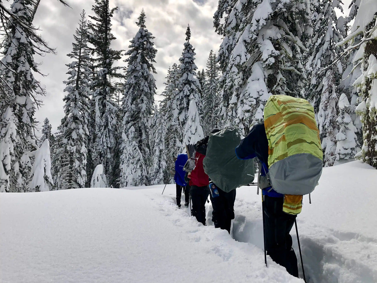 Snowshoeing Yosemite: Dewey Point /Crocker Point Weekend