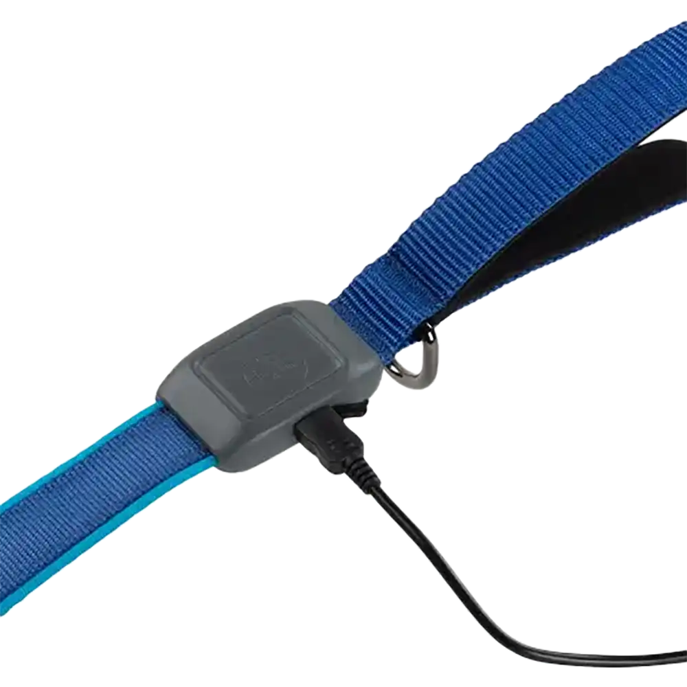 NiteDog Rechargeable LED Leash