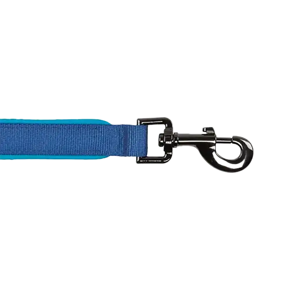 NiteDog Rechargeable LED Leash