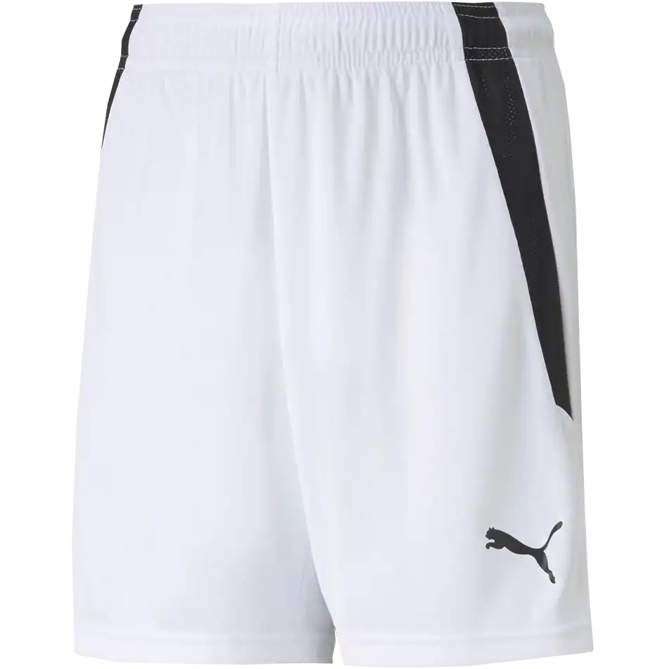 Youth Team Liga Shorts