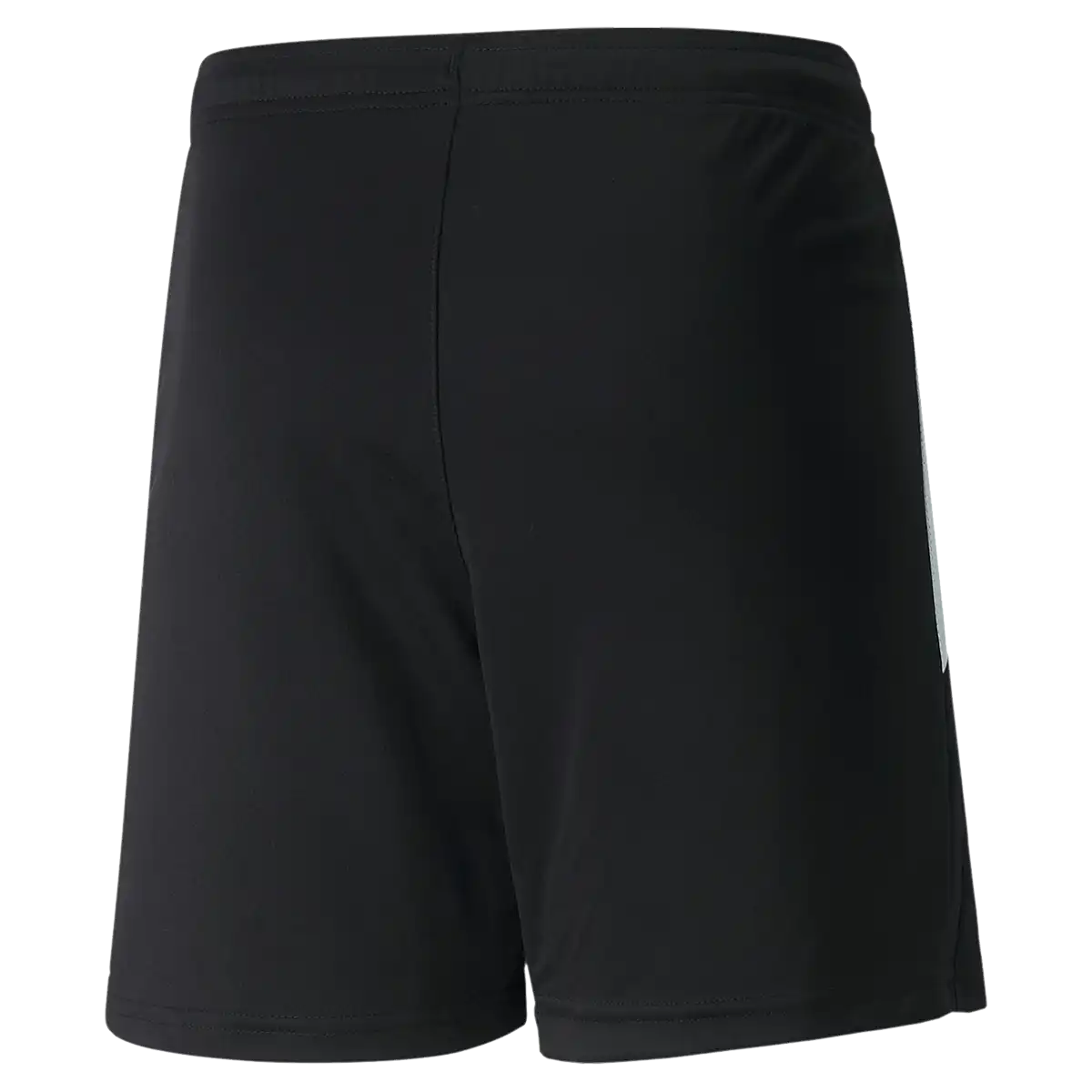 Youth Team Liga Shorts