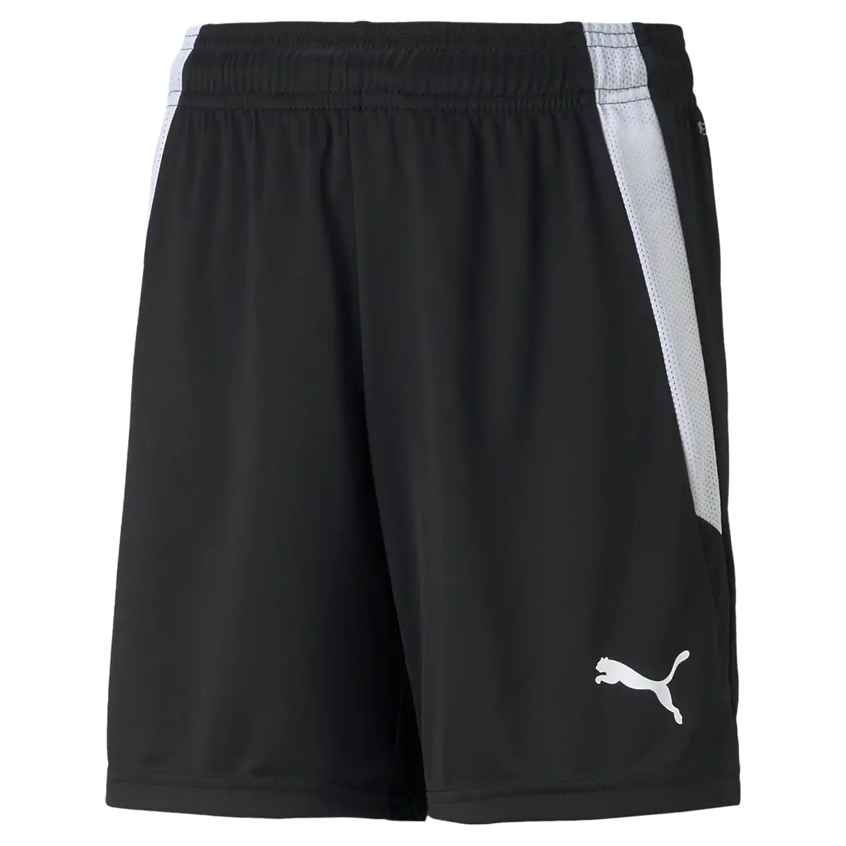 Youth Team Liga Shorts