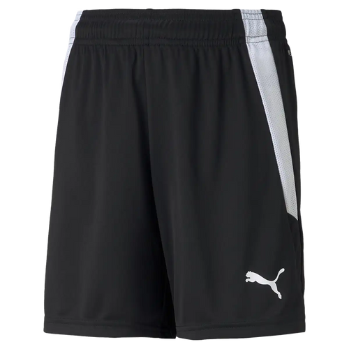 Youth Team Liga Shorts